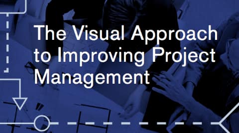 Visual Approach to Improving Project Management