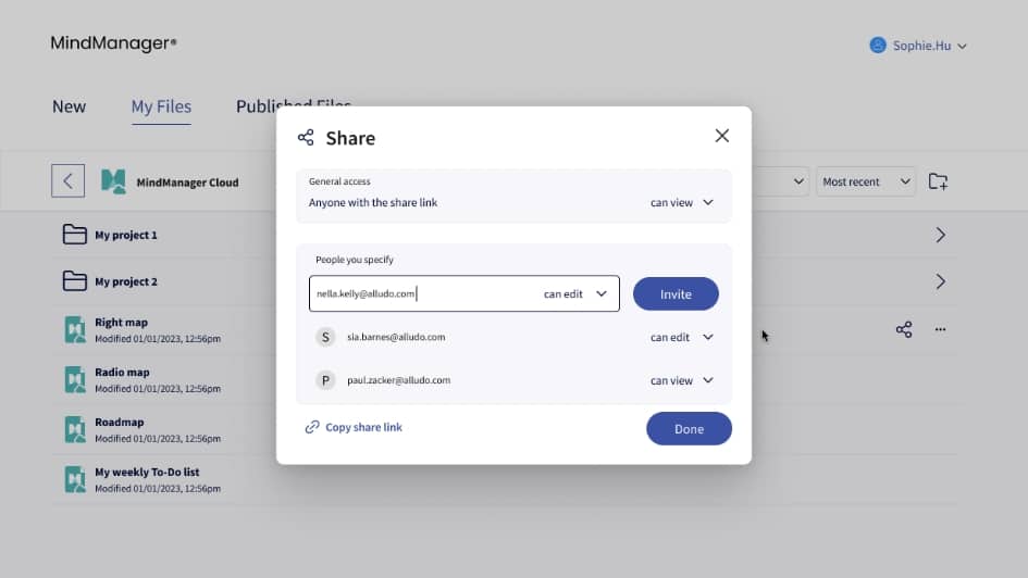 Control access to collaboration features with flexible permissions