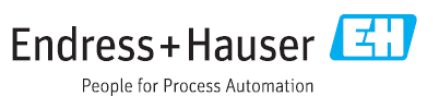 Endress + Hauser