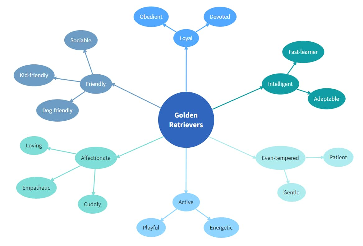 Bubble map templates