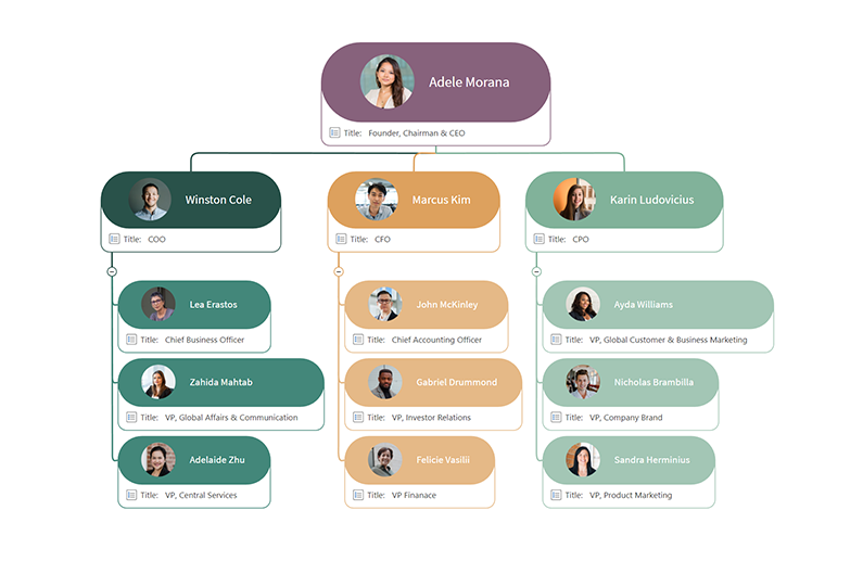 Functional charts