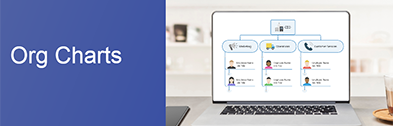 Org charts: what they are and how to use them