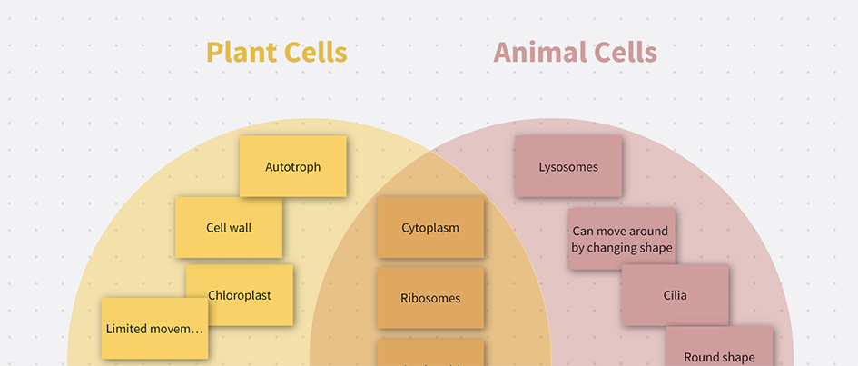 Add one topic to each circle