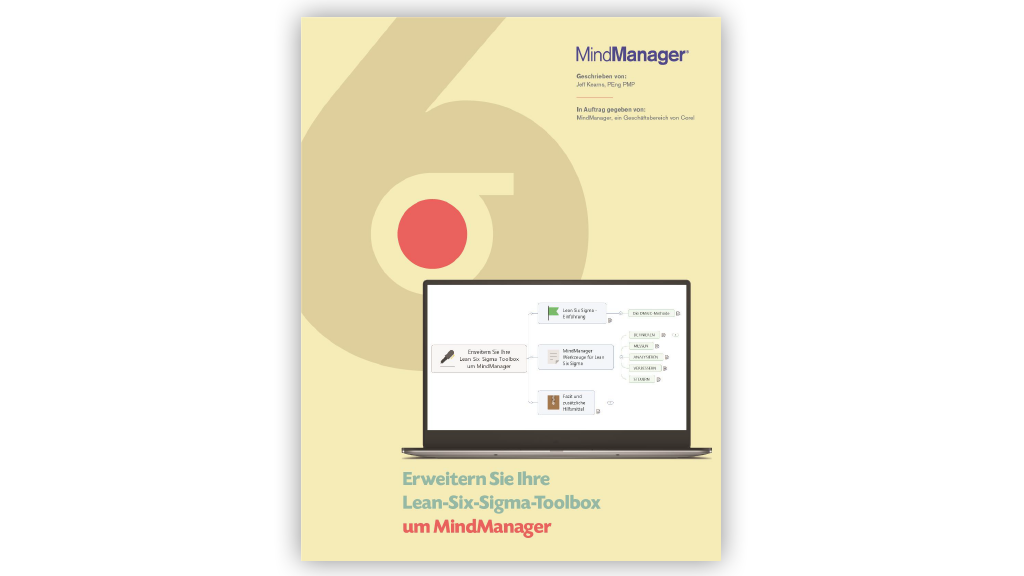 Lean Six Sigma